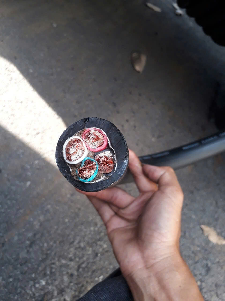 Cáp điện Samwon 3