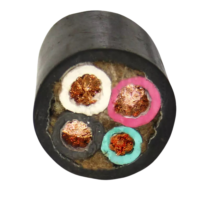 Dây điện cao su chính